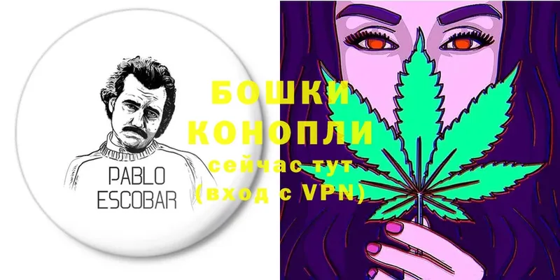 дарнет шоп  blacksprut онион  Шишки марихуана LSD WEED  Горнозаводск 